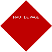 HAUT DE PAGE